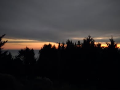 19 Haven Ct, Whitethorn, CA 95589 - photo 5