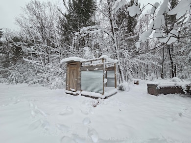 V/L Abermanis Trail, Luther, MI 49656 - photo 2