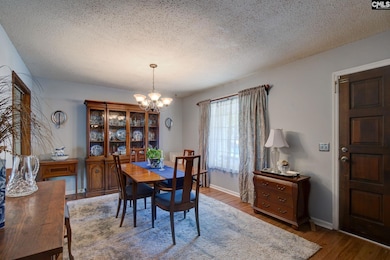 313 Harleston Rd, Irmo, SC 29063 - photo 4