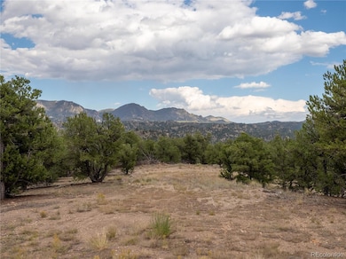 10286 Pioneer Trc, Nathrop, CO 81236 - photo 3