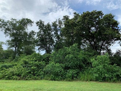 31110 Roanoke Woods Dr, Tomball, TX 77375 - photo 6