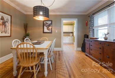 142 Rock Hill Rd, Asheville, NC 28803 - photo 4