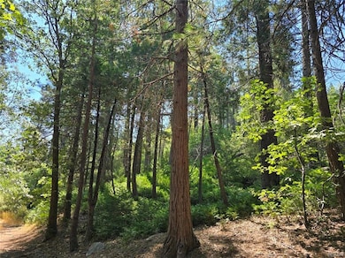 0 Lovers Ln unit 32502072, Crestline, CA 92322 - photo 6