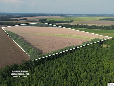 0 State Route 573 unit 80+-acres, St. Joseph, LA 71633 - photo 3