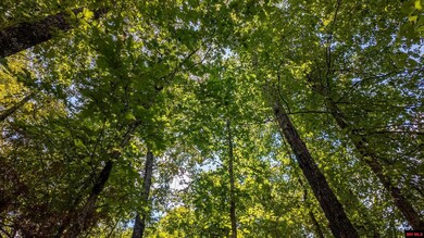 Lot 11 Riverbend Dr, Mammoth Spring, AR 72554 - photo 7