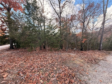 583 Palisades Dr, Village of Four Seasons, MO 65049 - photo 3