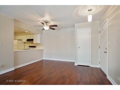 4506 Kings Walk Dr unit 2A, Rolling Meadows, IL 60008 - photo 3