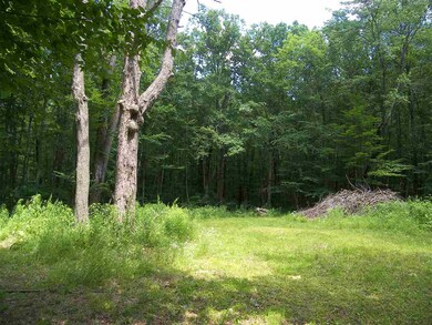 00 Bailey Rd unit 66B, Chichester, NH 03258 - photo 7