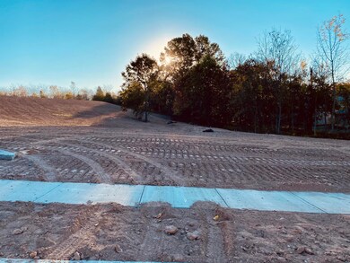 L69 Ph2 Irish Hills Estates, Nixa, MO 65714 - photo 3