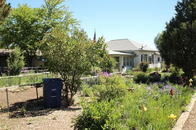 Front Yard V1