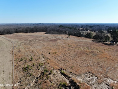 252 Shinpoch Ln, Olive Branch, MS 38654 - photo 6