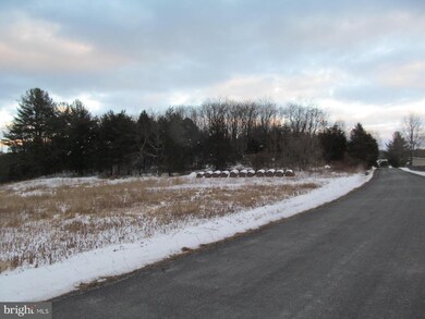 0 Dellinger Gap Rd unit VASH107484, Edinburg, VA 22824 - photo 7