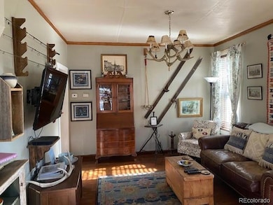 149 Lang St, Twin Lakes, CO 81251 - photo 7