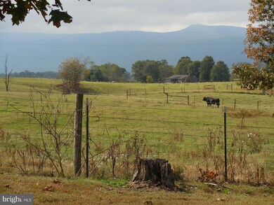 250 Outpost Rd, Luray, VA 22835 - photo 7