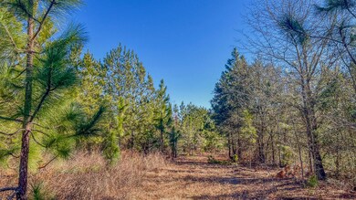 Longleaf Hill Land for Sale in SC-03