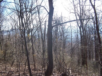 South Facing Slope