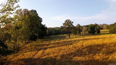 000 Bamber St, Mammoth Spring, AR 72554 - photo 7