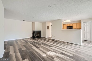 4731 Shellbark Rd, Owings Mills, MD 21117 - photo 5