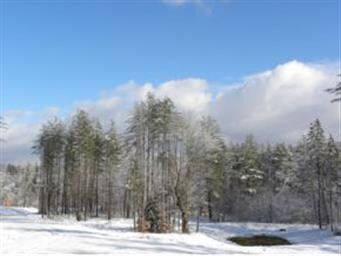 Lot 5 Vermont 100 unit 5, Ludlow, VT 05149 - photo 3