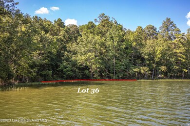 lot 36