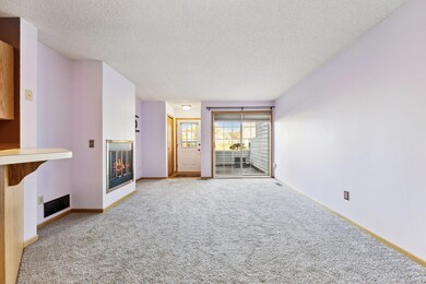 12802 Echo Ln unit 112, Saint Paul, MN 55124 - photo 2