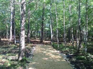 Lot 10 driveway