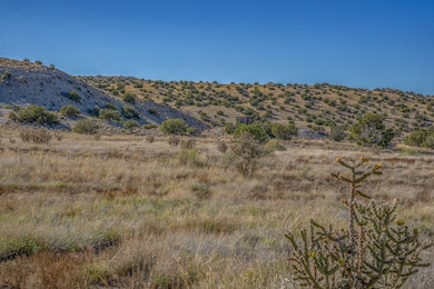 131 Via Sol Estrella unit B, Los Cerrillos, NM 87010 - photo 2