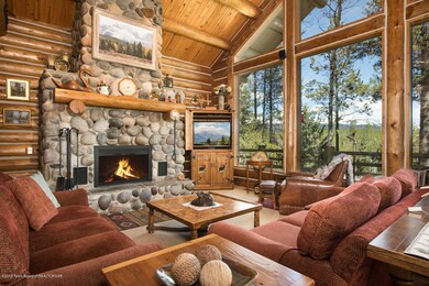 Wood burning fireplace