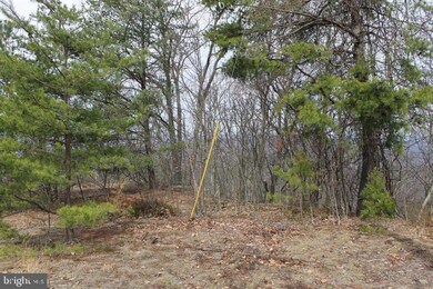 LOT 337 Nathaniel Mt Rd, Moorefield, WV 26836 - photo 3