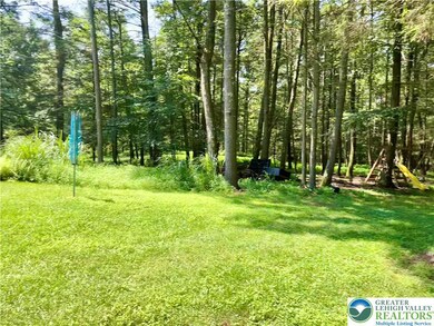 105 Aspen Way, Palmerton, PA 18071 - photo 3