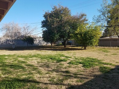 Backyard 3