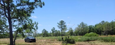 00 Whigham Way, Alvin, TX 77511 - photo 3