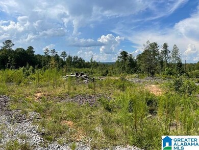 4559 Fincher Rd unit 71 Ac, Roanoke, AL 36274 - photo 2