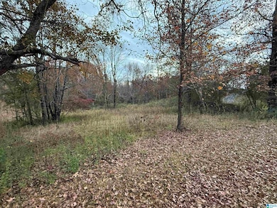 3 Springs Cove Rd, Warrior, AL 35180 - photo 4