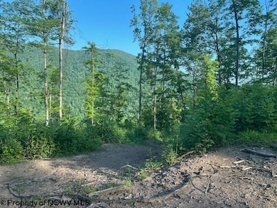 TBD Cheat Valley Hwy, Parsons, WV 26287 - photo 2