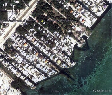 1025 Snapper Google Earth View