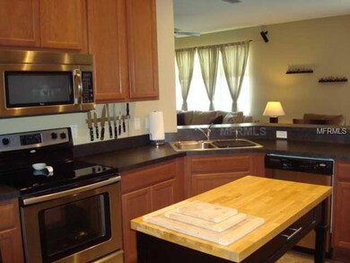 9620 Maxson Dr, Land O Lakes, FL 34638 - photo 3