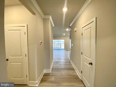 29221 Oxford Dr, Millsboro, DE 19966 - photo 6