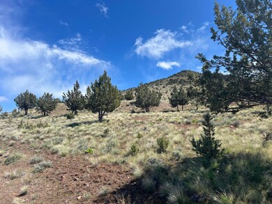 0 SW Wanker unit 2200 220209349, Culver, OR 97734 - photo 5