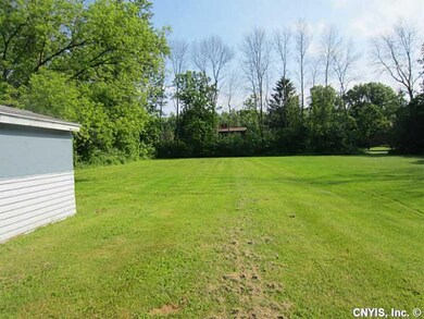 Backyard.