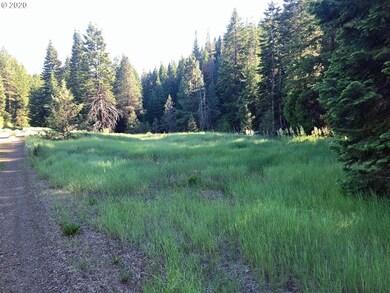 0 Grant Pine Hunt unit 20159261, Prairie City, OR 97869 - photo 6