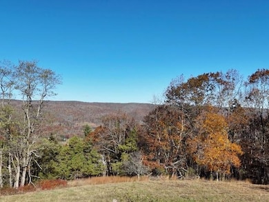 TBD Rich Hills Rd, Monterey, VA 24465 - photo 3