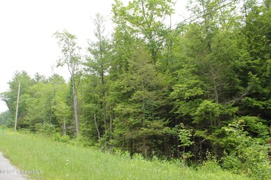 00 State Route 28, Johnsburg, NY - photo 2