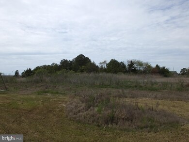 2308 Wingate Bishops Head Rd, Wingate, MD 21675 - photo 3