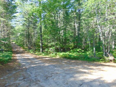 Woods