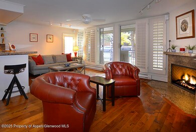 800 E Hopkins Ave unit A1, Aspen, CO 81611 - photo 3