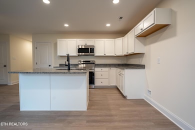 3507 Maggie Lynn Way unit 1, Knoxville, TN 37921 - photo 7