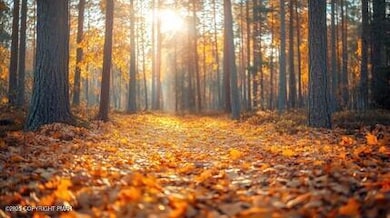 0 Overlook Dr unit PM-137226, Tamaqua, PA 18252 - photo 6