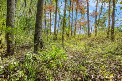 12923 Triple Oak Dr NE, Vergennes Township, MI 49331 - photo 5