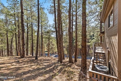 2705 Bucky Oneill, Flagstaff, AZ 86001 - photo 6